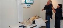 Röntgenutrustning för veterinärer, från Fujifilm